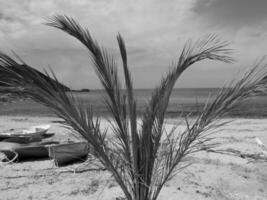 Insel Korsika in Frankreich foto