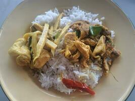 thailändisch Straße Essen Reis und Curry ,Grün Curry mit Hähnchen und gebraten Hähnchen Schenkel mit rot Curry foto