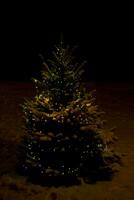 Weihnachten Baum Nacht foto