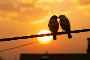 Silhouette von ein liebend Vogel Paar thront auf Drähte gegen ein Sonnenuntergang Hintergrund ai generiert foto