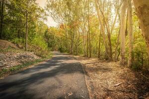 ländlich Straßen neben mit Grün Natur Wald im das Hügel mit Abend Sonnenuntergang Hintergrund. foto