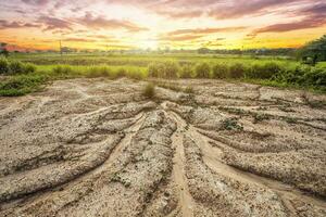 braun Land mit trocken Boden oder geknackt Boden Textur und Gras Gras auf Orange Himmel Hintergrund mit Weiß Wolken Sonnenuntergang, global Erwärmen foto