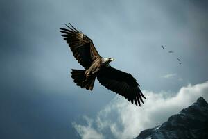 Adler im Stark, schwarz und Weiss, geätzt gegen bergig Hintergrund ai generiert foto