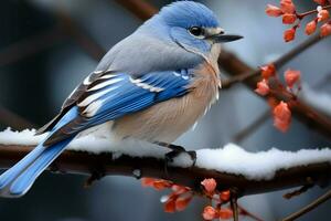 Winter heiter Schönheit harmoniert mit das Gegenwart von Vogelgezwitscher ai generiert foto