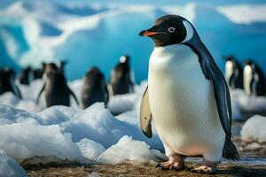 Pinguin auf Strand, gerahmt durch Eisberge, umarmt das heiter Polar- Landschaft ai generiert foto