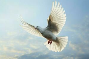 Vogel im Mitte Luft Weiß gefiedert Homing Taube hochfliegend anmutig ai generiert foto