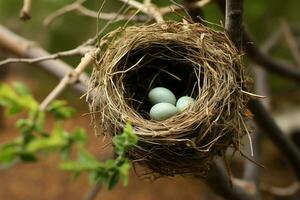 Naturen Kunst ein Vögel Nest gewiegt im das Bäume Umarmung ai generiert foto