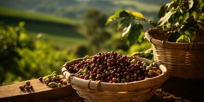 ai generiert. ai generativ. Kaffee Bohnen Plantage Natur draussen Landschaft. Grafik Kunst foto