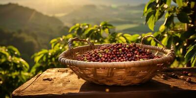 ai generiert. ai generativ. Kaffee Bohnen Plantage Natur draussen Landschaft. Grafik Kunst foto