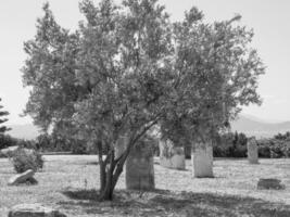 tunis Stadt im Tunesien foto