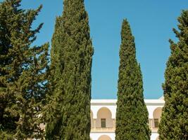 tunis Stadt im Tunesien foto