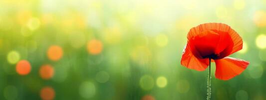 rot Mohn im ein Feld mit Grün verschwommen Bokeh Hintergrund. ai generativ foto