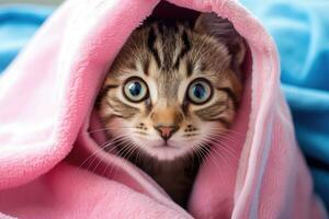 süß Tabby Kätzchen versteckt unter Rosa Decke. Tier Thema, süß Tabby Katze eingewickelt im Rosa Handtuch mit Blau Augen, ai generiert foto