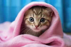 süß wenig Kätzchen versteckt unter ein Rosa Decke auf das Bett, süß Tabby Katze eingewickelt im Rosa Handtuch mit Blau Augen, ai generiert foto