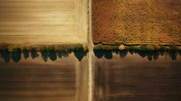 generativ ai, Bauernhof Herbst Landschaft, landwirtschaftlich Felder, schön Grün, Gelb, Orange und Beige Landschaft, Land Straße. Natur Illustration, fotorealistisch oben Aussicht Drohne. foto