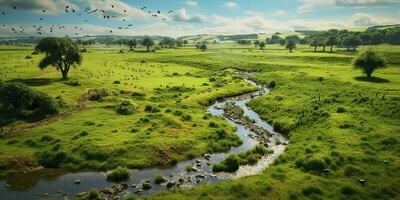 ai generiert. ai generativ. tolle Antenne Drohne Aussicht Natur draussen Wald Feld Wiese mit Fluss und Vögel im das Himmel. Grafik Kunst foto