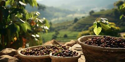 ai generiert. ai generativ. Kaffee Bohnen Plantage Natur draussen Landschaft. Grafik Kunst foto