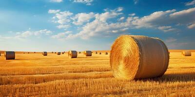 ai generiert. ai generativ. Herbst Landschaft Ernte Landwirtschaft runden Ballen Stapel. draussen Natur Landschaft. Grafik Kunst foto