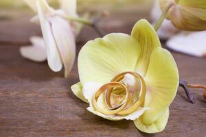 golden Hochzeit Ringe auf Gelb Orchidee auf hölzern Tisch. Hochzeit Zeremonie, Flitterwochen, Ehe Vorschlag, Valentinstag Tag im heiß Länder. Kopieren Raum foto