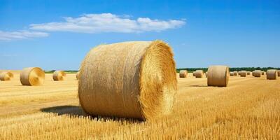 ai generiert. ai generativ. Herbst Landschaft Ernte Landwirtschaft runden Ballen Stapel. draussen Natur Landschaft. Grafik Kunst foto