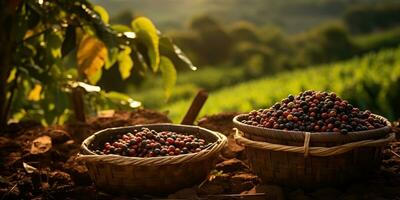 ai generiert. ai generativ. Kaffee Bohnen Plantage Natur draussen Landschaft. Grafik Kunst foto