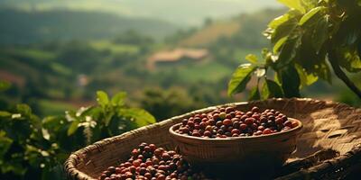 ai generiert. ai generativ. Kaffee Bohnen Plantage Natur draussen Landschaft. Grafik Kunst foto