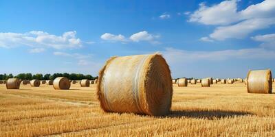 ai generiert. ai generativ. Herbst Landschaft Ernte Landwirtschaft runden Ballen Stapel. draussen Natur Landschaft. Grafik Kunst foto