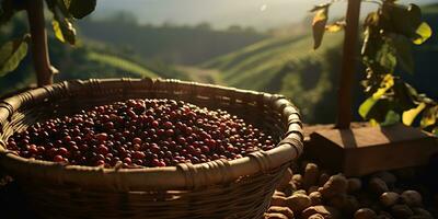 ai generiert. ai generativ. Kaffee Bohnen Plantage Natur draussen Landschaft. Grafik Kunst foto