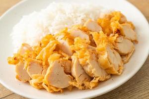 gebratenes Hühnerfleisch auf Reis mit scharfer Dipsauce foto