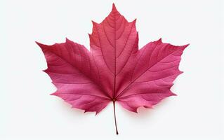 Burgund Herbst Blatt auf ein Weiß Hintergrund. generativ durch ai foto