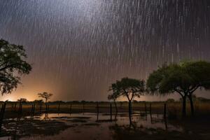 Meteor Regen über das Bäume. Strom von Meteoriten. Landschaft mit fallen Sterne. generativ ai foto