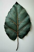 Herbst Blatt auf ein Weiß Hintergrund, Nahaufnahme, oben Sicht. ai generiert Profi Foto