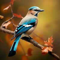 Blau Jay Vogel Sitzung auf ein Ast im das Herbst Wald. ai generiert Profi Foto