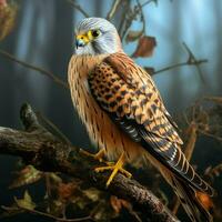 Turmfalke Sitzung auf ein Ast im Herbst Wald. Tierwelt Szene von Natur. ai generiert Profi Foto