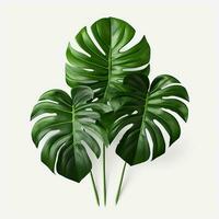 tropisch Grün Monstera Blätter isoliert auf Weiß Hintergrund. eben legen, oben Sicht. ai generiert Profi Foto