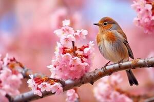 schön Vogel Sitzung auf das Baum Ast mit Sakura Blume hintergrund.generativ ai. foto