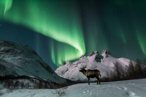 Rentier im das Schnee mit Aurora leicht.generativ ai. foto