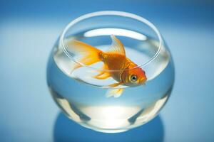 Goldfisch Schwimmen im Glas Schüssel foto