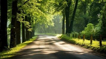 Berg Straße. Landschaft mit Felsen, sonnig Himmel mit Wolken und schön Asphalt Straße im das Abend im Sommer. Autobahn im Berge, generativ ai Illustration foto