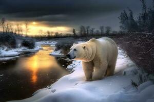 Polar- Bär im Wildheit Bereich gegen Sonnenuntergang. neural Netzwerk ai generiert foto