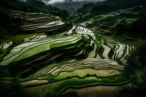 Reis Felder auf terrassiert von mu cang Tschai, yenbai, Vietnam. Reis Felder bereiten das Ernte beim Nordwest vietnam.vietnam Landschaften. neural Netzwerk ai generiert foto