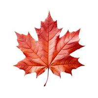 rot Ahorn Blatt wie ein Herbst Symbol wie ein saisonal thematisch Konzept foto