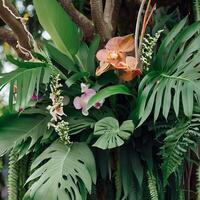 dunkel Grün Blätter Monstera oder Teilt Blatt Philodendron Licht und Schatten Hintergrund. generativ ai foto