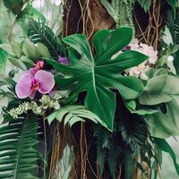 dunkel Grün Blätter Monstera oder Teilt Blatt Philodendron Licht und Schatten Hintergrund. generativ ai foto