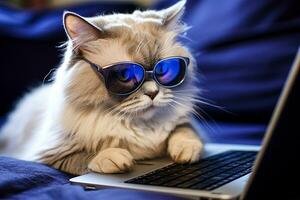 süß Katze im Glas Betriebs Laptop generativ ai foto
