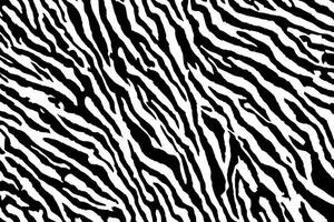 Zebra Haut Hintergrund, Zebra Haut Textur, ai generativ foto