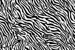 Zebra Haut Hintergrund, Zebra Haut Textur, ai generativ foto