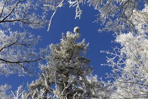 schöne märchenhafte verschneite Winterlandschaft mit blauem Himmel in Zentralböhmen, Tschechien foto