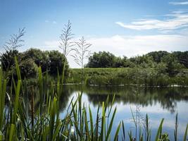 See und Vegetation am Tophill Low Nature Reserve Yorkshire England foto