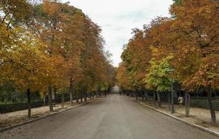 Herbst im Retiro Park in Madrid, Spanien foto